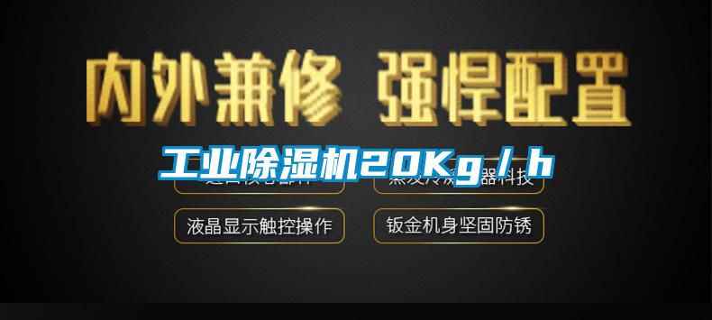 工业好色先生污污版20Kg／h