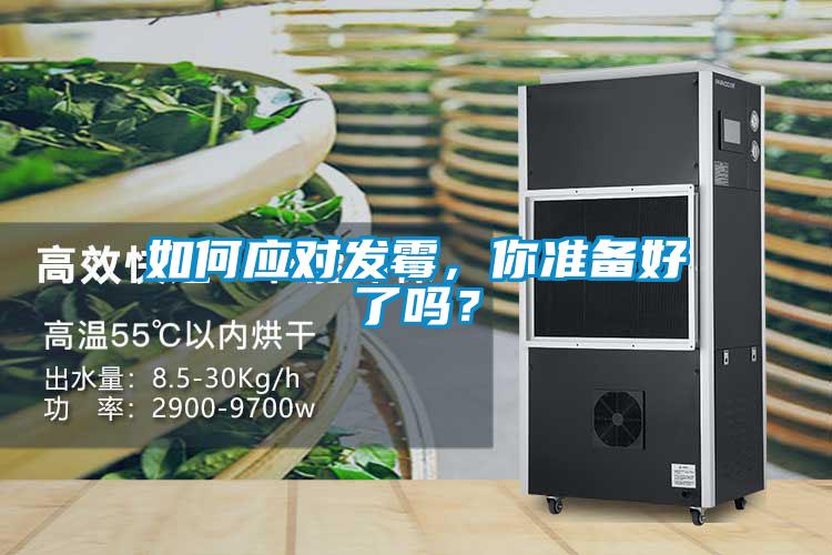 如何应对发霉，你准备好了吗？