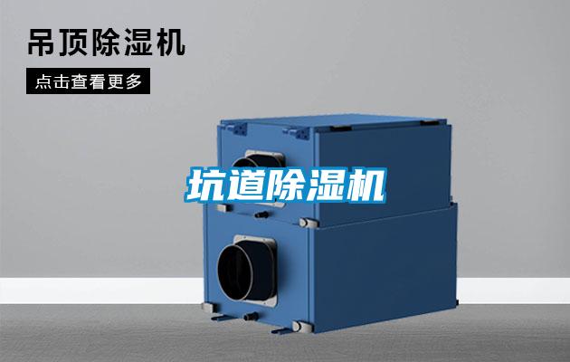 坑道好色先生污污版