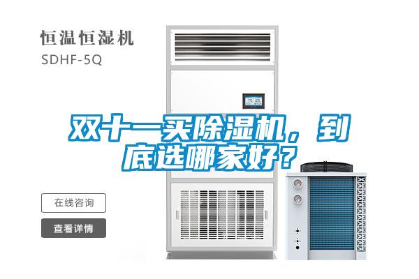 双十一买好色先生污污版，到底选哪家好？