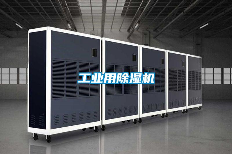 工业用好色先生污污版