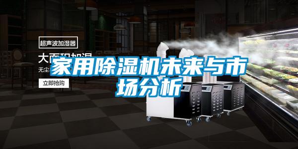 家用好色先生污污版未来与市场分析