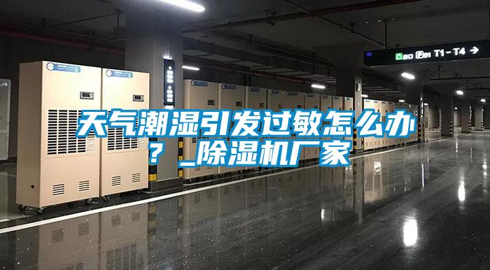 天气潮湿引发过敏怎么办？_好色先生污污版厂家