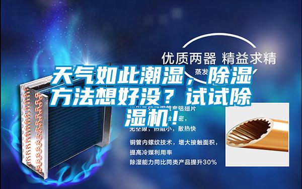 天气如此潮湿，除湿方法想好没？试试好色先生污污版！