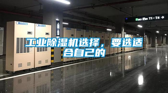 工业好色先生污污版选择，要选适合自己的