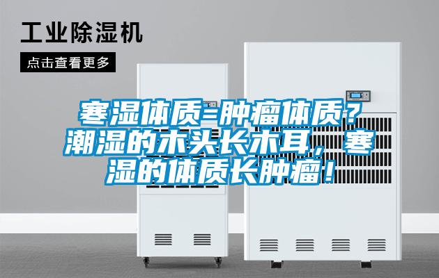 寒湿体质=肿瘤体质？潮湿的木头长木耳，寒湿的体质长肿瘤！