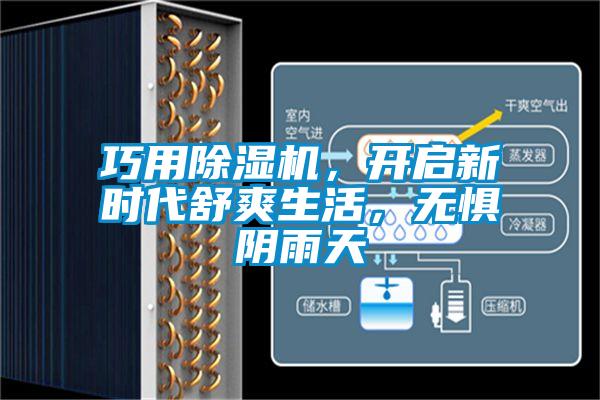 巧用好色先生污污版，开启新时代舒爽生活，无惧阴雨天