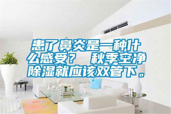 患了鼻炎是一种什么感受？ 秋季空净除湿就应该双管下。