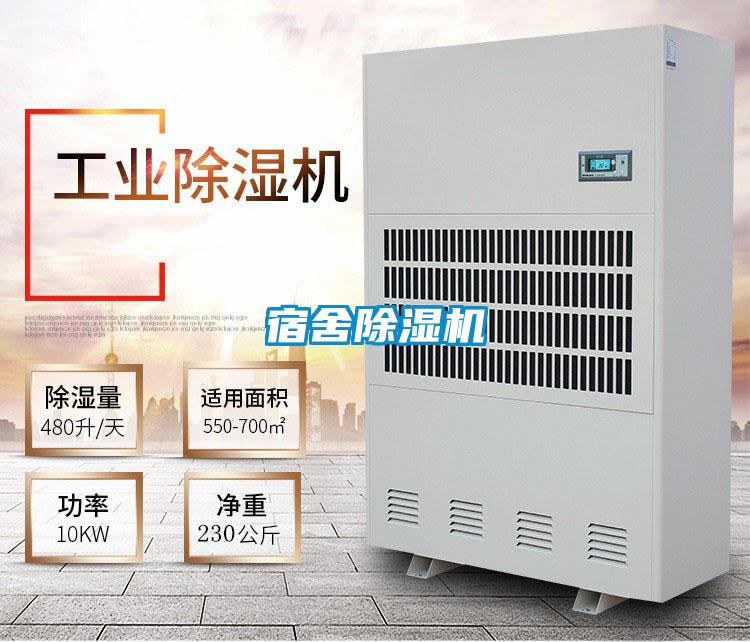 宿舍好色先生污污版