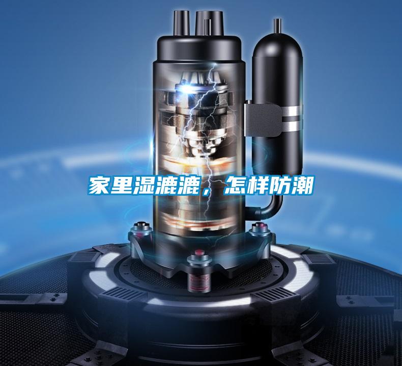 家里湿漉漉，怎样防潮