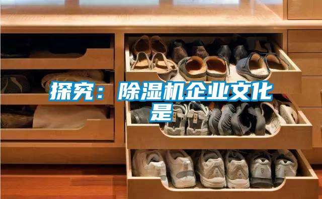 探究：好色先生污污版企业文化是