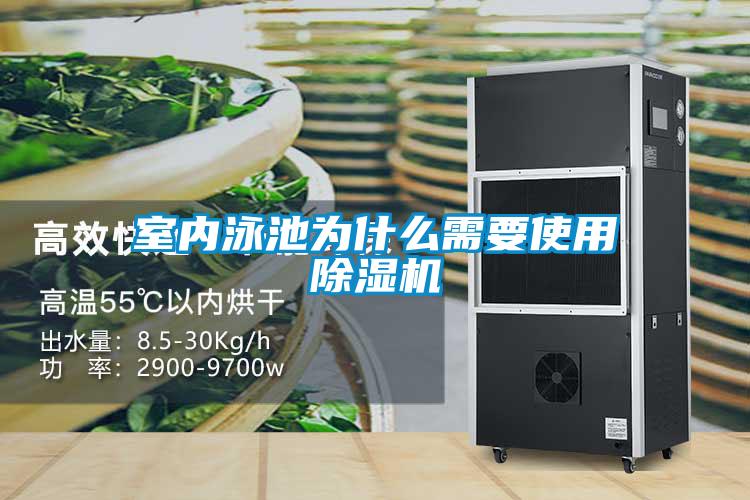 室内泳池为什么需要使用好色先生污污版