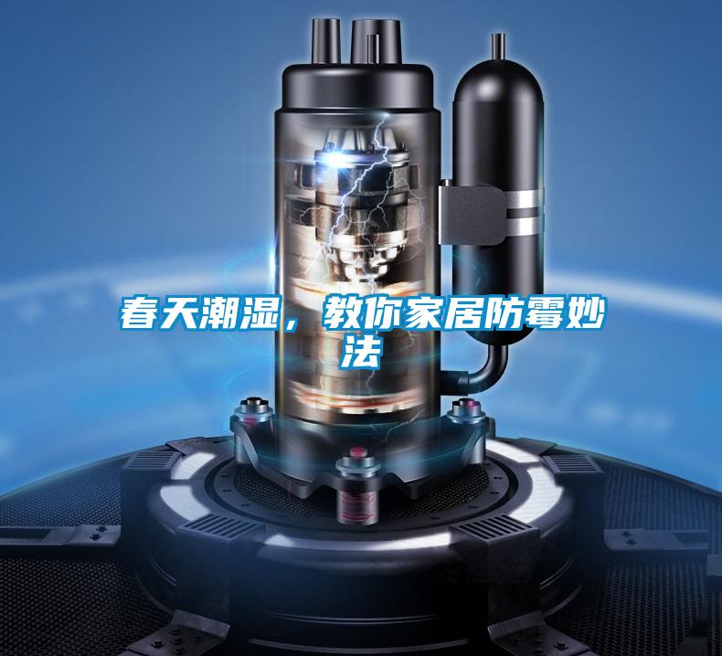 春天潮湿，教你家居防霉妙法