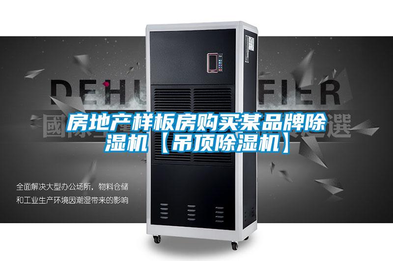 房地产样板房购买某品牌好色先生污污版【吊顶好色先生污污版】