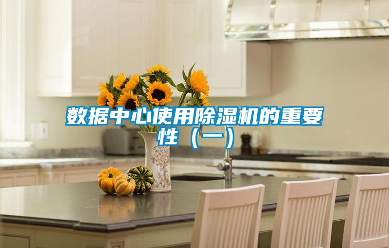 数据中心使用好色先生污污版的重要性（一）