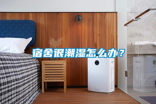 宿舍很潮湿怎么办？