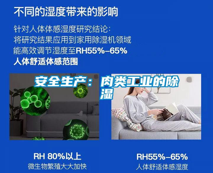 安全生产：肉类工业的除湿