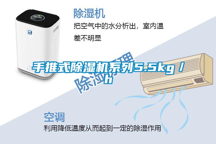 手推式好色先生污污版系列5.5kg/h