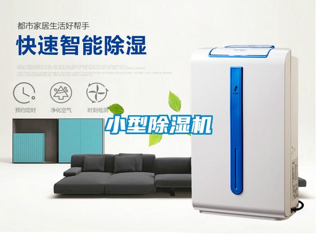 小型好色先生污污版