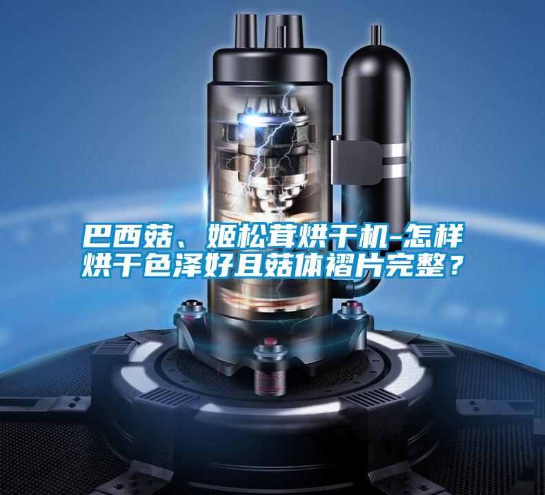 巴西菇、姬松茸烘干机-怎样烘干色泽好且菇体褶片完整？