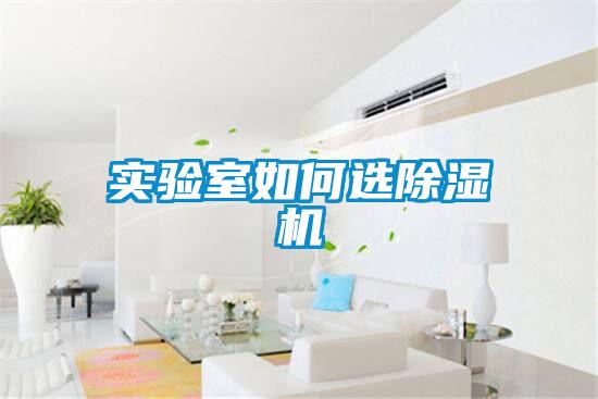 实验室如何选好色先生污污版