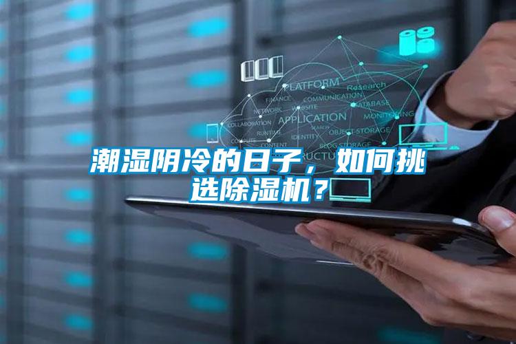 潮湿阴冷的日子，如何挑选好色先生污污版？