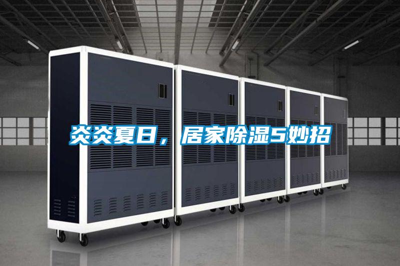 炎炎夏日，居家除湿5妙招