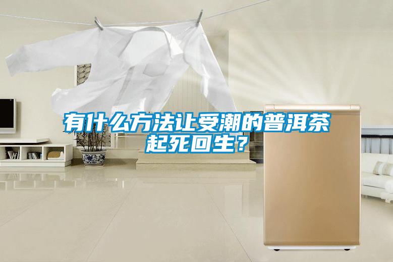 有什么方法让受潮的普洱茶起死回生？