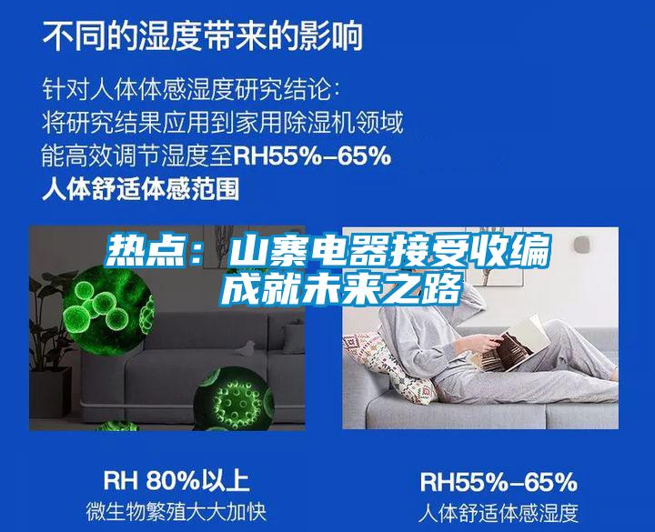 热点：山寨电器接受收编 成就未来之路