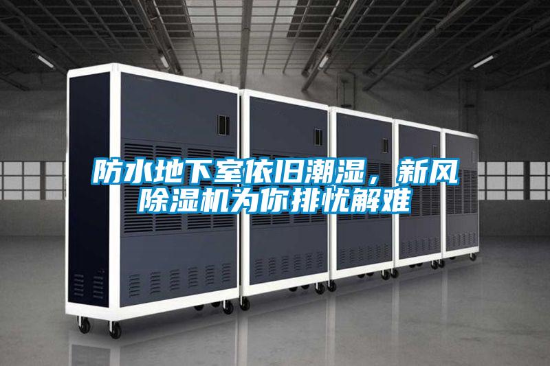防水地下室依旧潮湿，新风好色先生污污版为你排忧解难