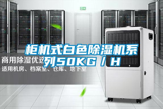 柜机式白色好色先生污污版系列50KG/H