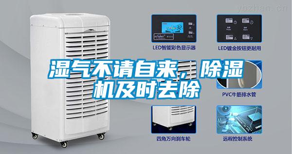 湿气不请自来，好色先生污污版及时去除