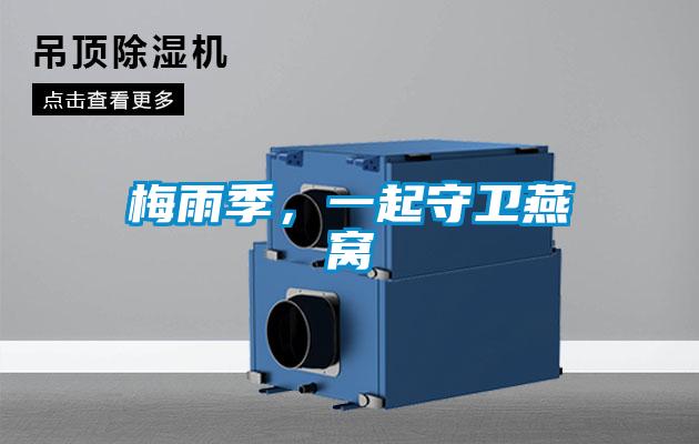 梅雨季，一起守卫燕窝