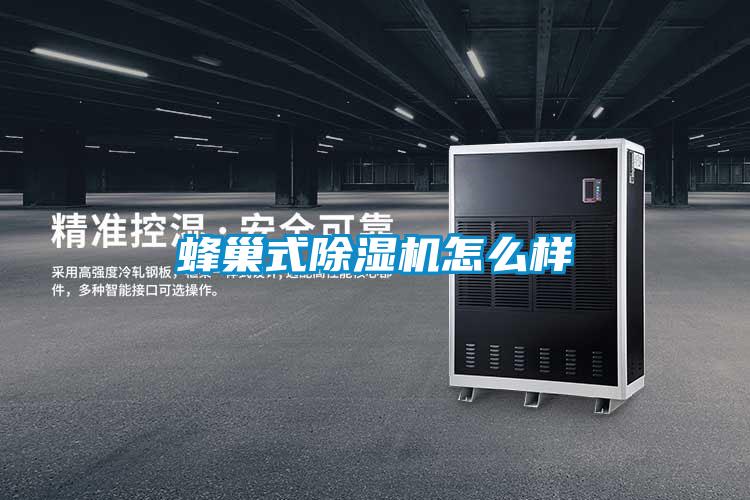 蜂巢式好色先生污污版怎么样