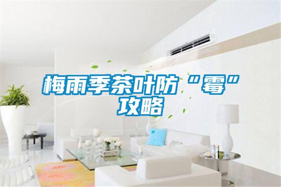 梅雨季茶叶防“霉”攻略