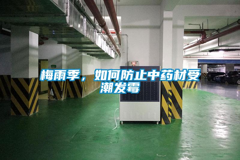 梅雨季，如何防止中药材受潮发霉