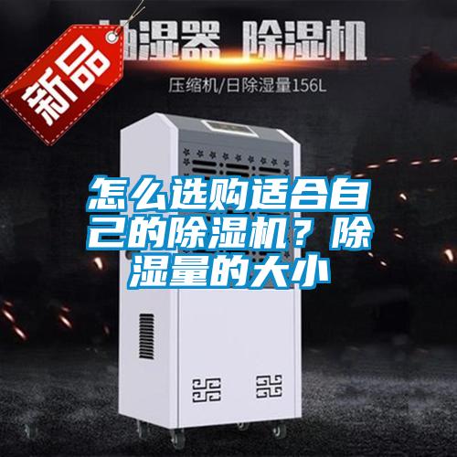 怎么选购适合自己的好色先生污污版？除湿量的大小