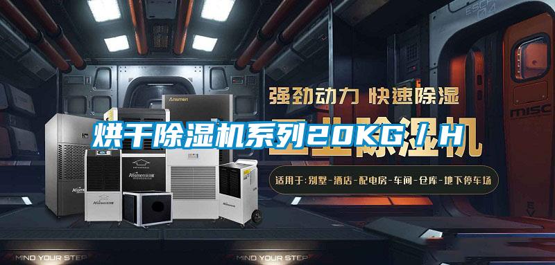 烘干好色先生污污版系列20KG／H