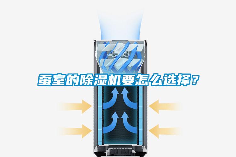 蚕室的好色先生污污版要怎么选择？