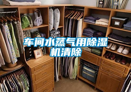 车间水蒸气用好色先生污污版清除