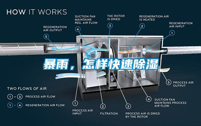 暴雨，怎样快速除湿
