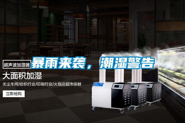 暴雨来袭，潮湿警告