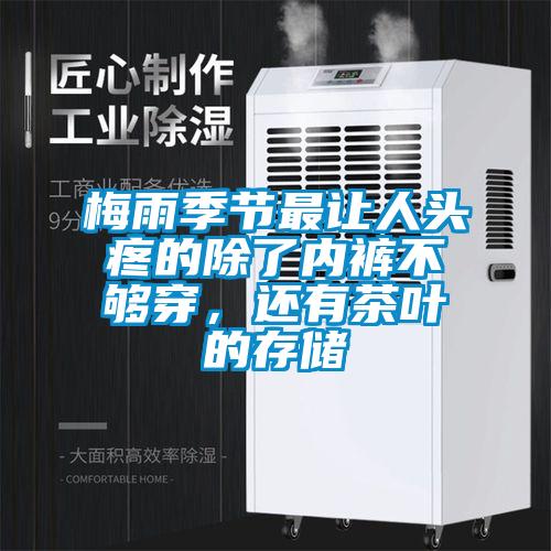 梅雨季节最让人头疼的除了内裤不够穿，还有茶叶的存储