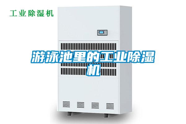 游泳池里的工业好色先生污污版