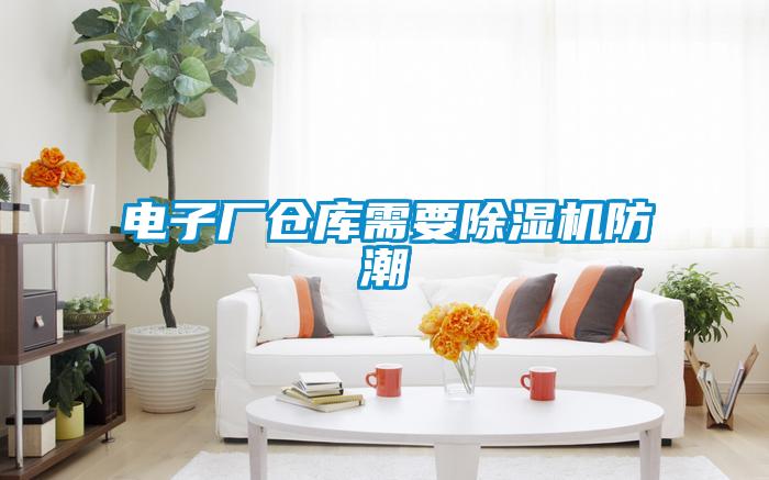 电子厂仓库需要好色先生污污版防潮