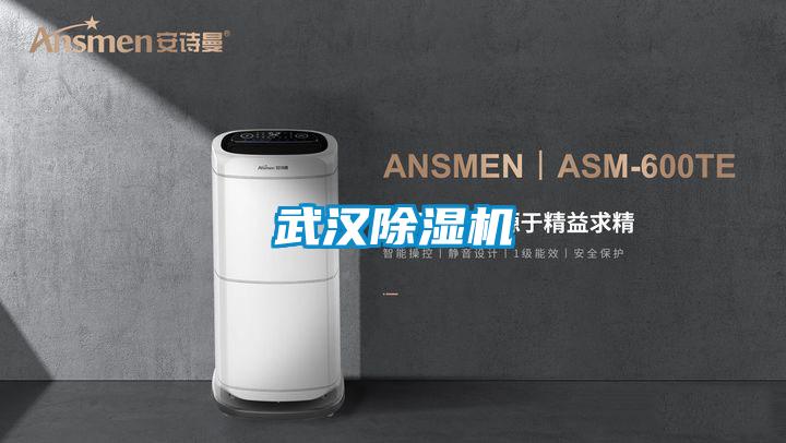 武汉好色先生污污版