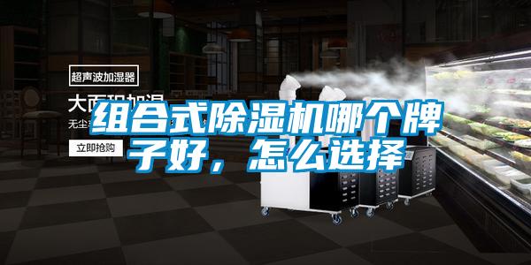 组合式好色先生污污版哪个牌子好，怎么选择