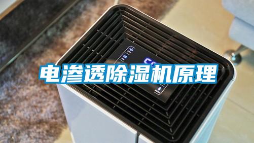 电渗透好色先生污污版原理