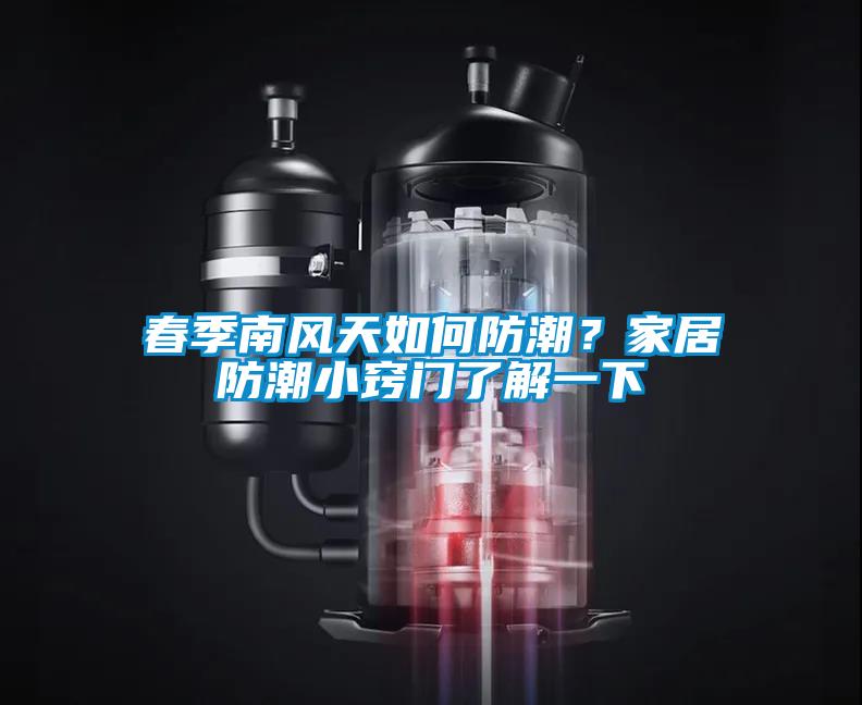 春季南风天如何防潮？家居防潮小窍门了解一下