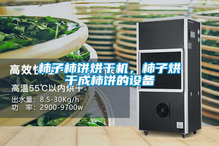 柿子柿饼烘干机，柿子烘干成柿饼的设备